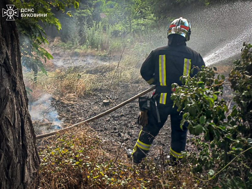 У Чернівцях рятувальники ліквідували пожежу сухої трави на відкритій території