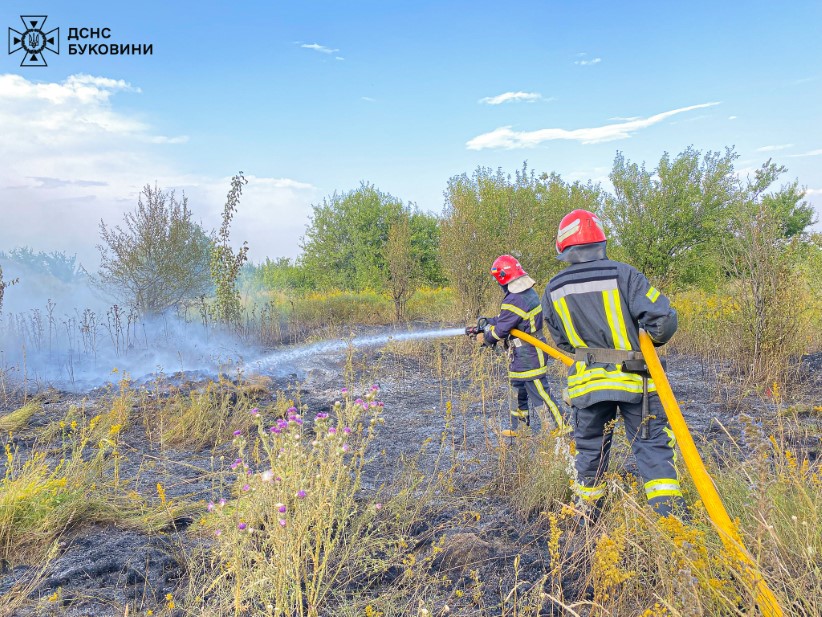 На Буковині за добу ліквідували вісім пожеж на відкритих територіях