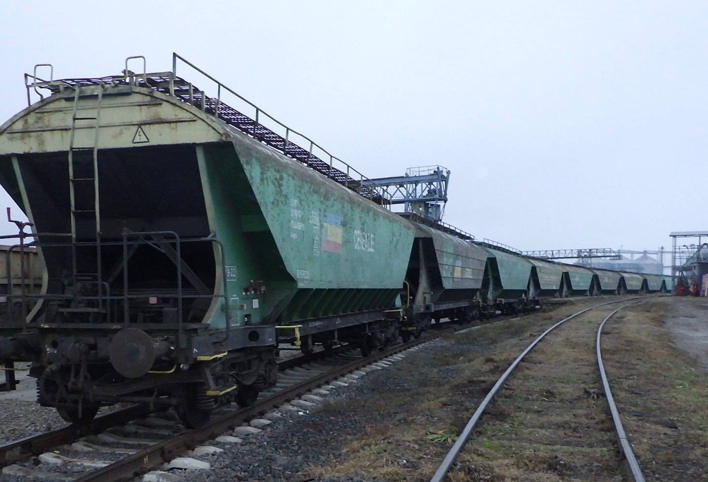 У пункті пропуску “Вадул-Сірет-Вікшани” митники задокументували спробу незаконного експорту понад 180 тонн сої