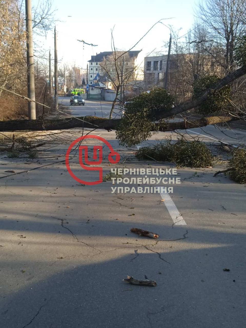 Через обрив контактного дроту призупинено рух тролейбусів №4