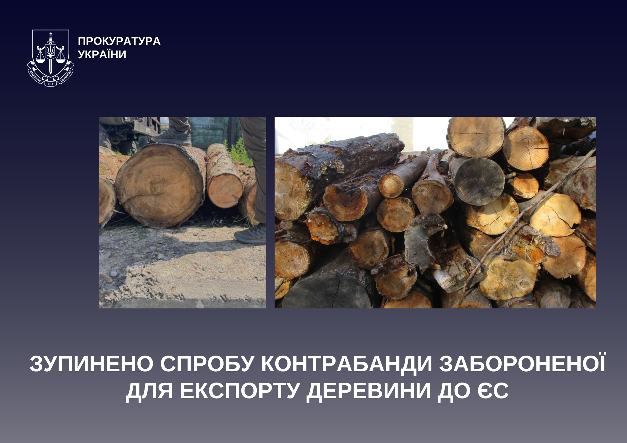 На Буковині зупинили спробу контрабанди забороненої для експорту деревини до ЄС