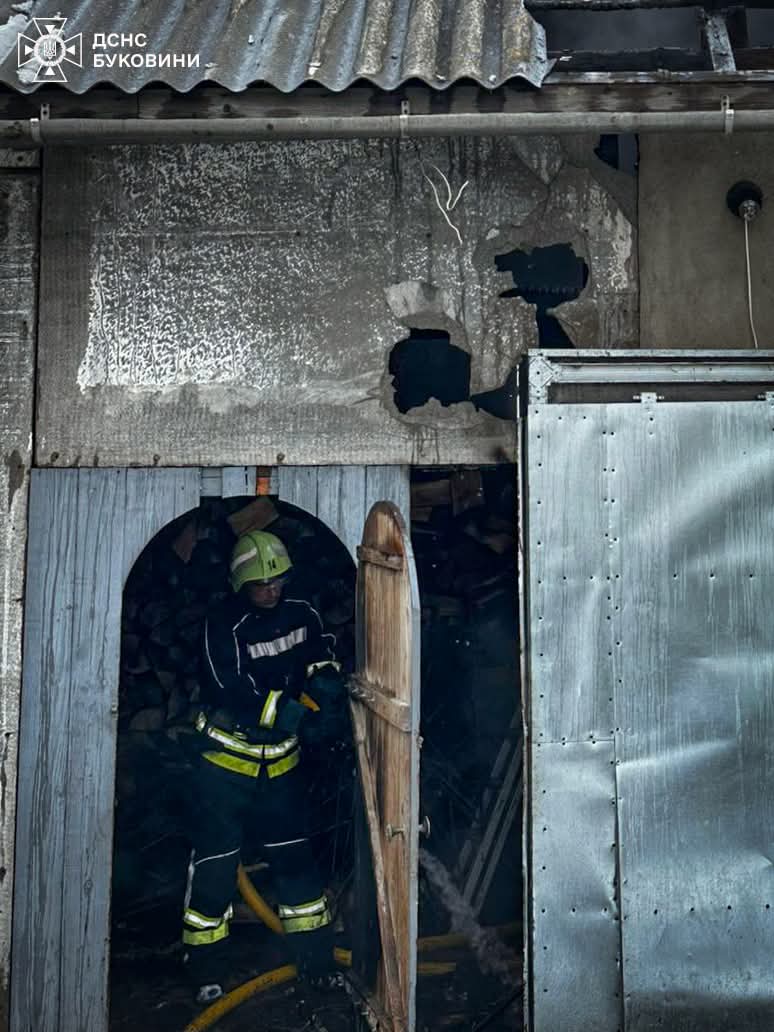 На Буковині за добу сталося кілька пожеж: рятувальники запобігли поширенню вогню на житлові будинки