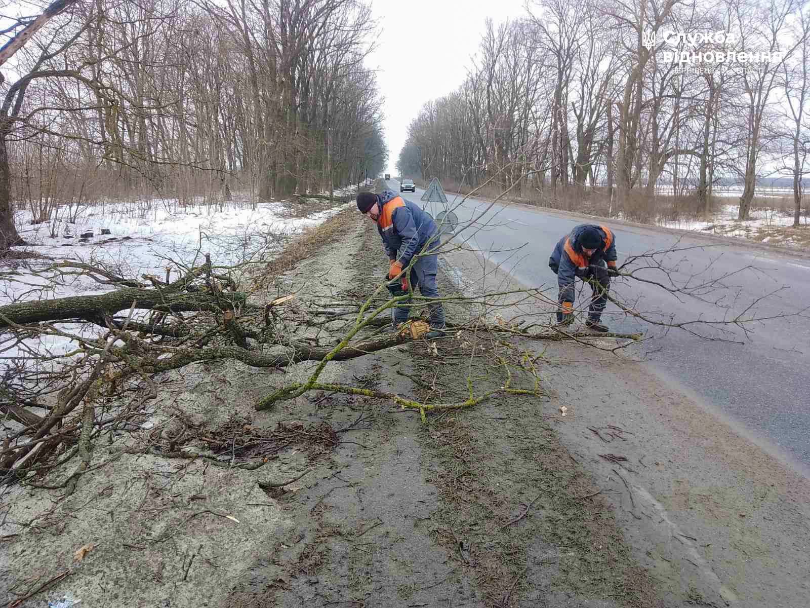 На Буковині дорожники прибрали десятки повалених буревієм дерев із державних трас