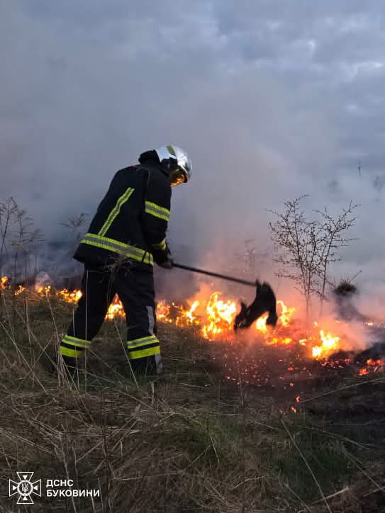 За добу на Буковині ліквідовано 6 пожеж: вигоріло понад 5 гектарів
