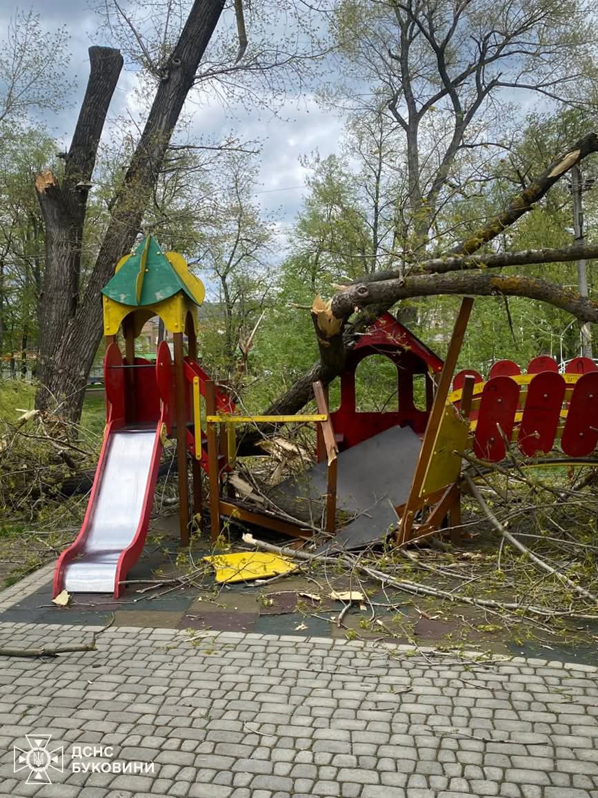 У Новоселиці двоє дітей травмувалися через падіння дерева під час негоди