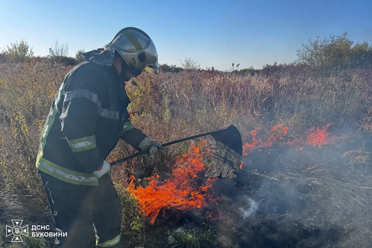 На Буковині за добу рятувальники зареєстрували дев’ять надзвичайних подій